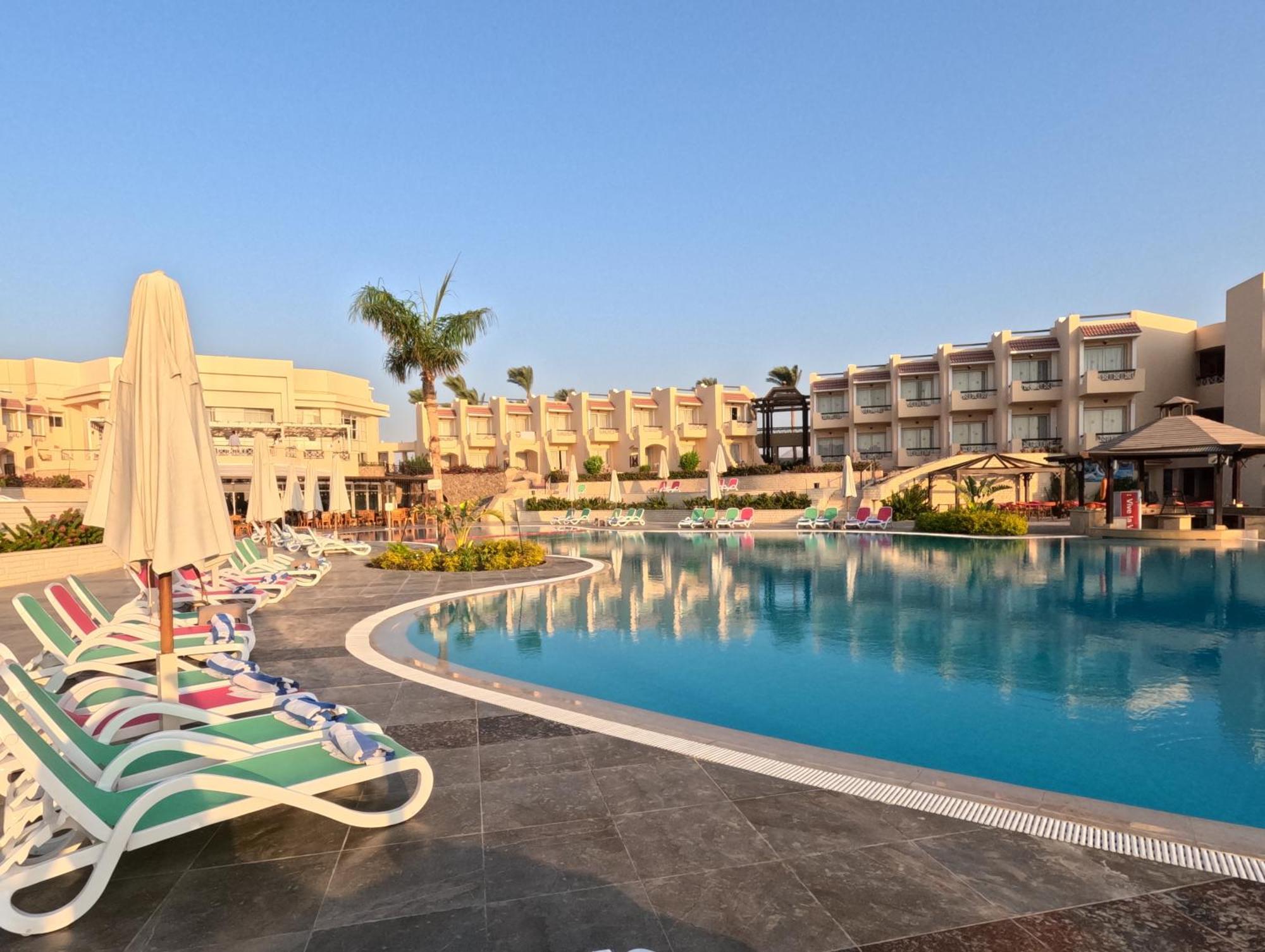 Ivy Cyrene Adults Friendly 13 4*