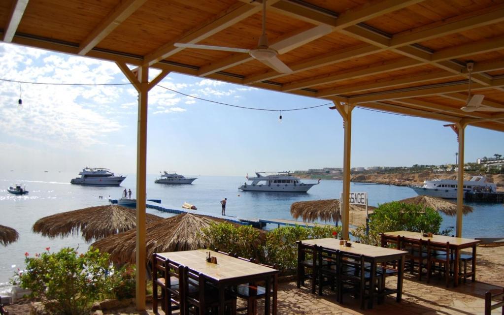 Umbi Sharks Bay Diving Village Resort 3*
