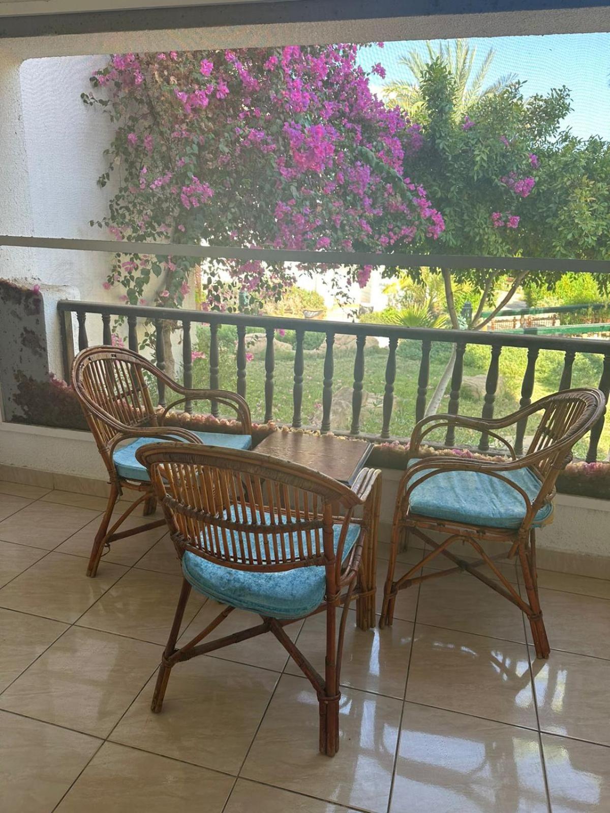 Star - Delta 4* Sharm el-Sheikh