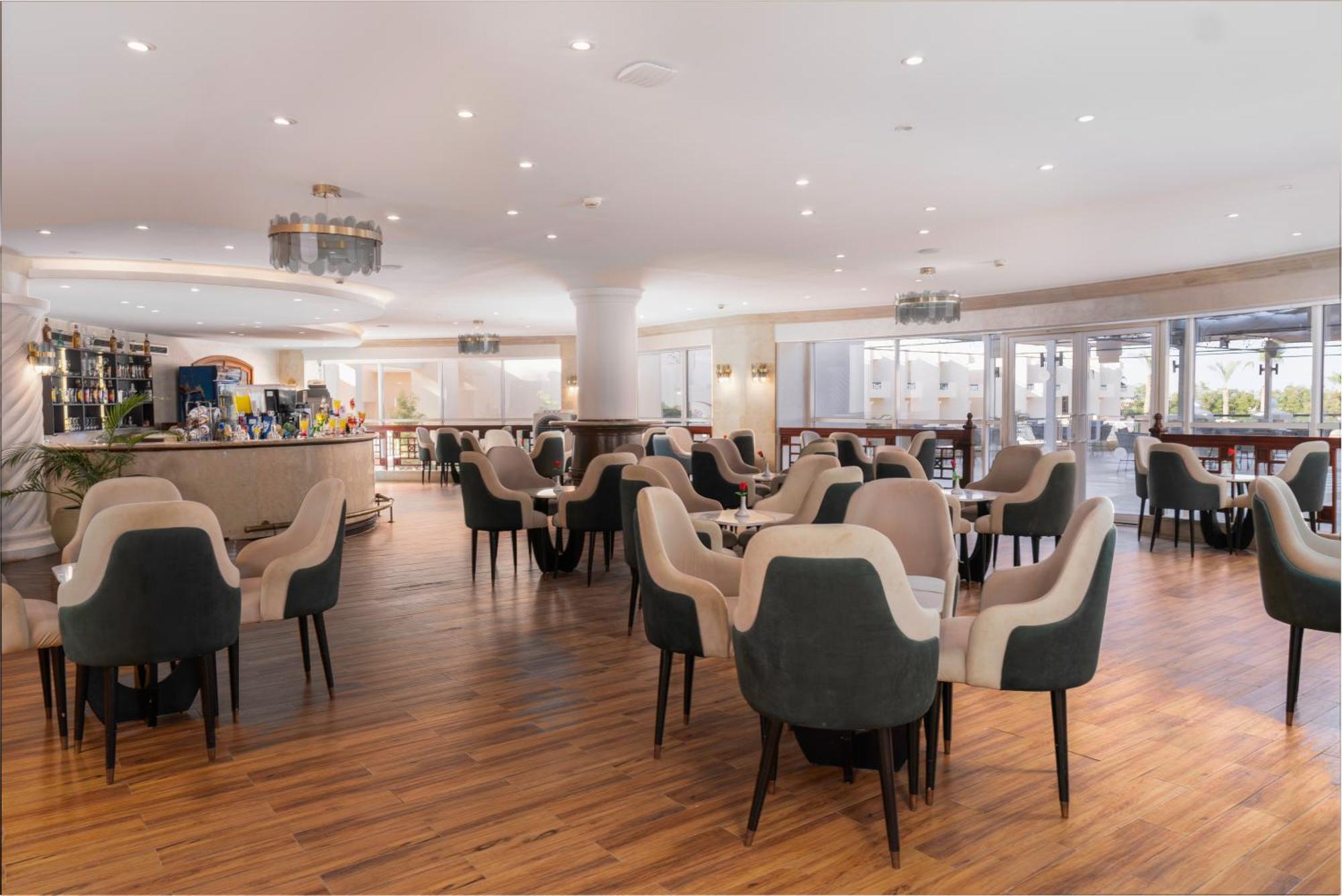 Ivy Cyrene Adults Friendly 13 Sharm-el-Sheikh