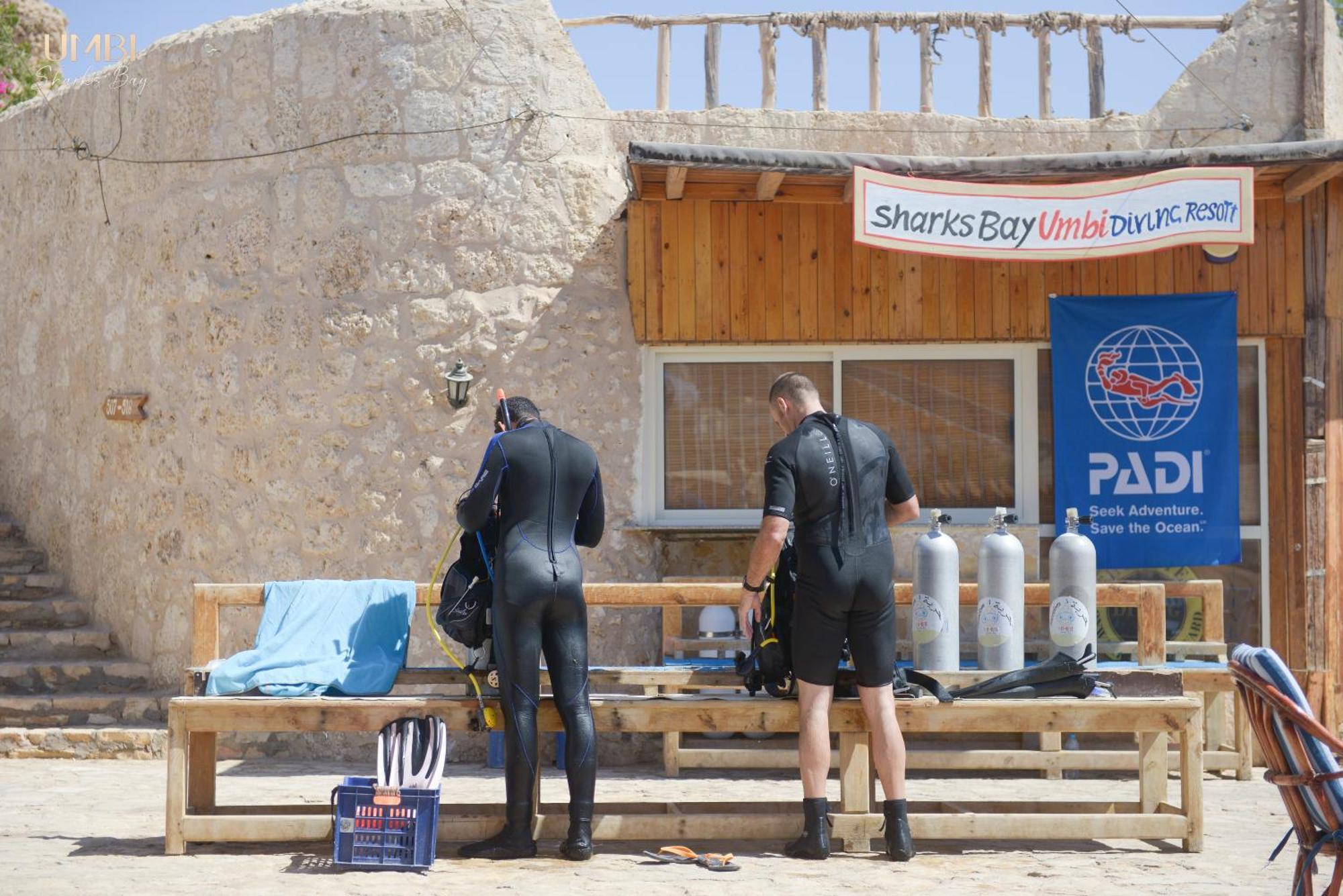 Umbi Sharks Bay Diving Village 3*