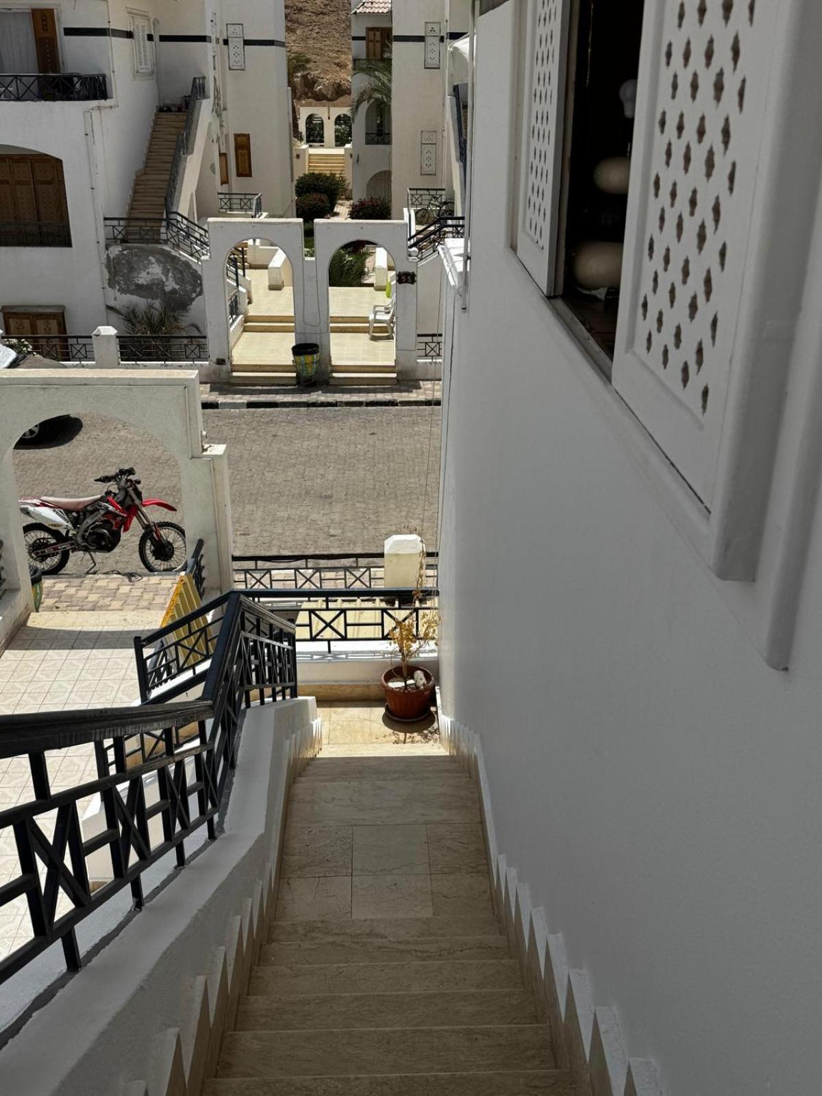 Riviera Neues Komfortables Grosses Renoviertes Auch Fuer Langzeitmieter Buchbar Sharm El-Sheikh