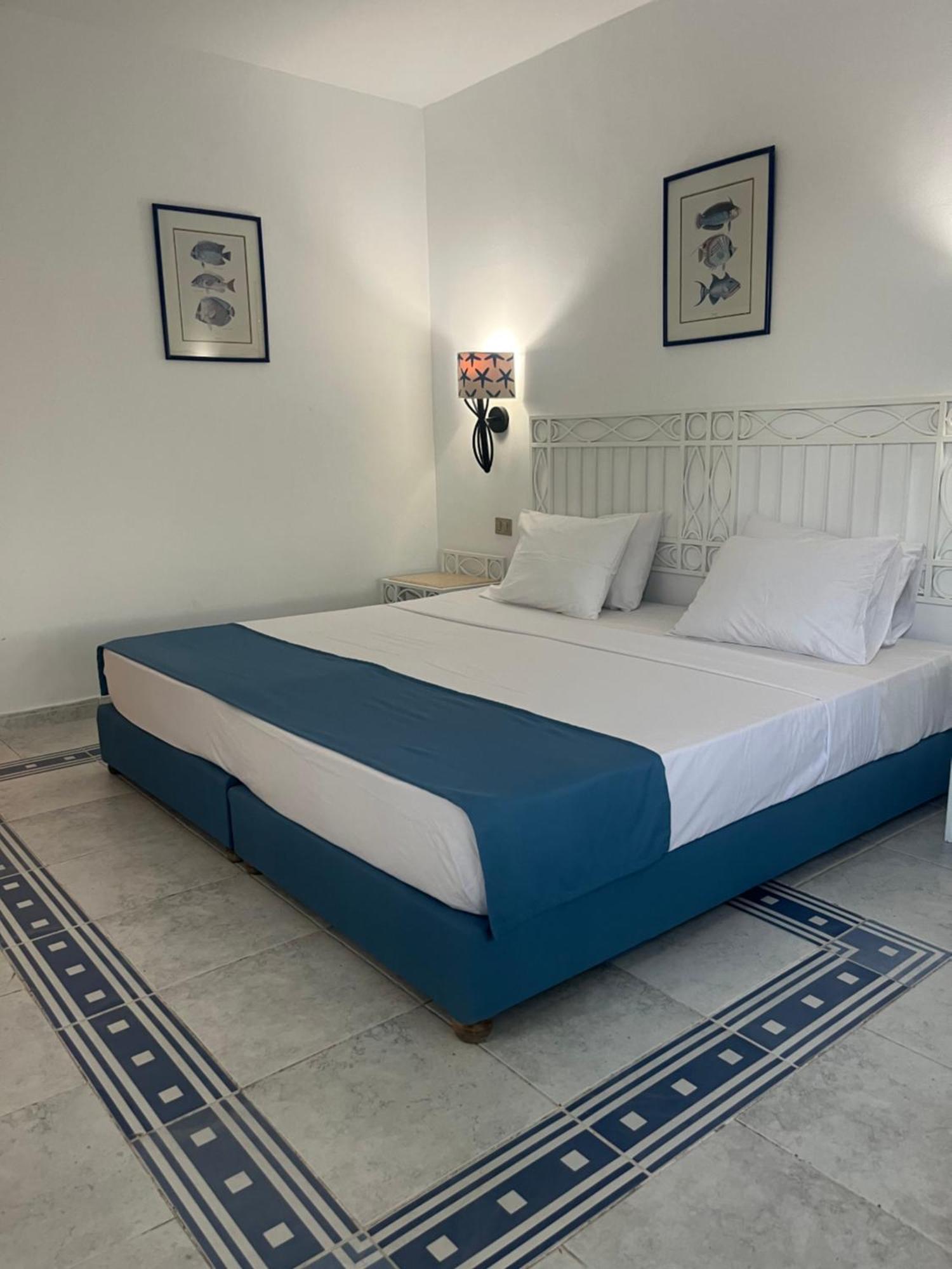 Domina Coral Bay Aquamarine 1 Sharm el-Sheikh