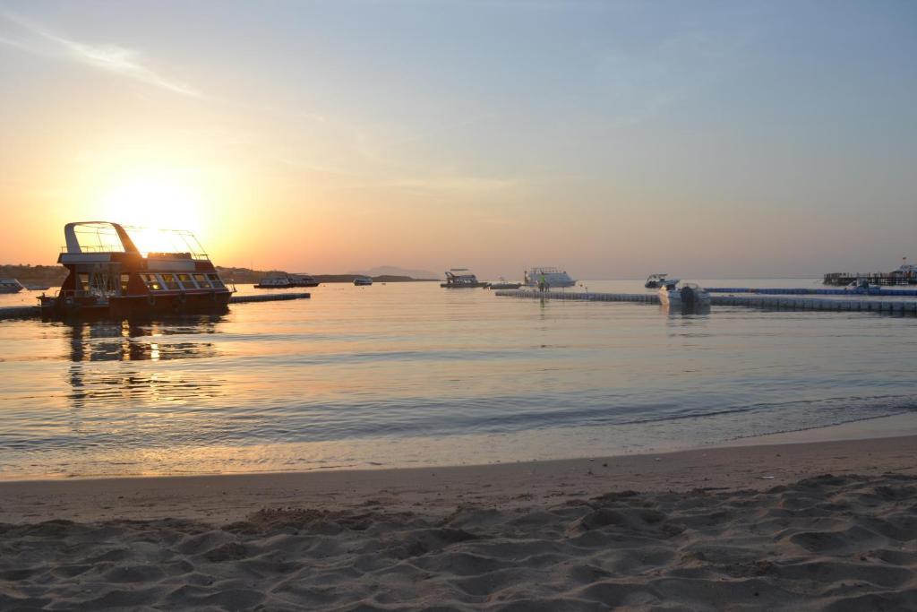 Aida 2 Naama Bay 3* Sharm el-Sheikh