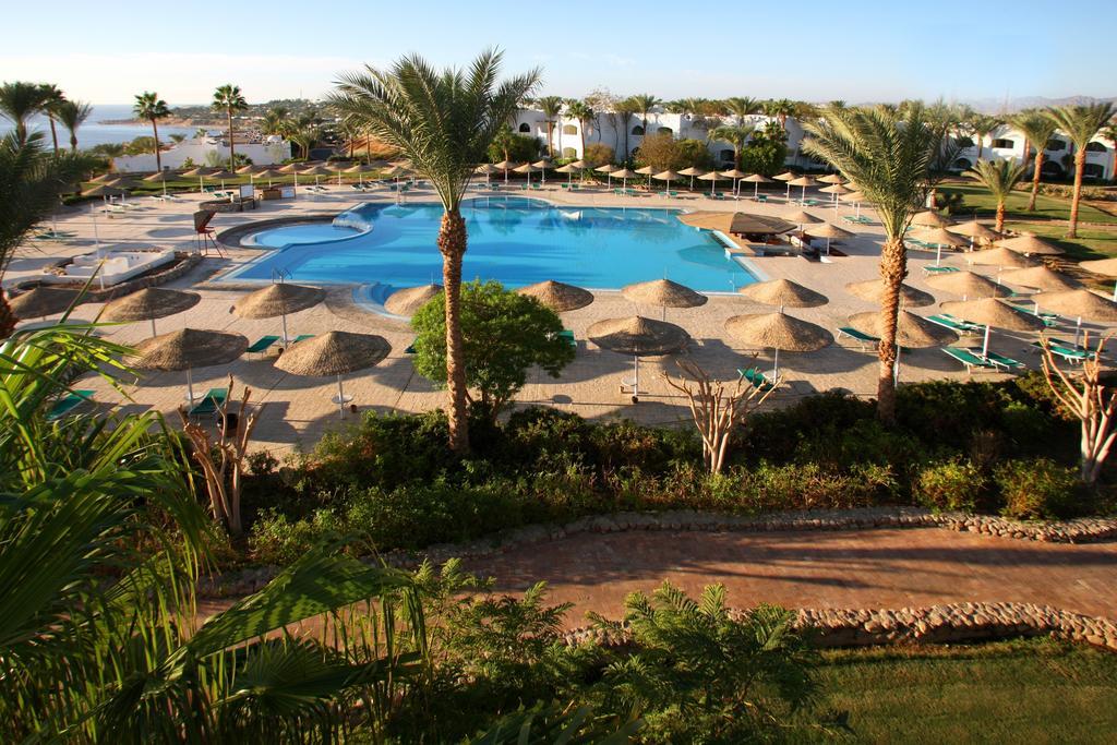Domina Oasis & Resort 5*