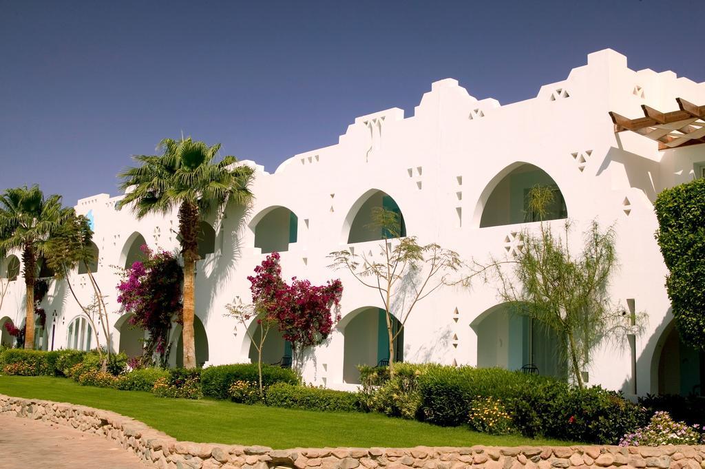 Domina Oasis &