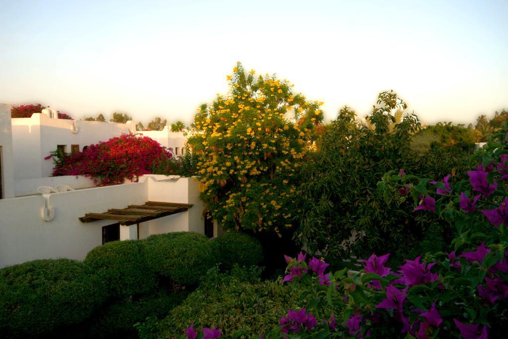 Resort Mexicana