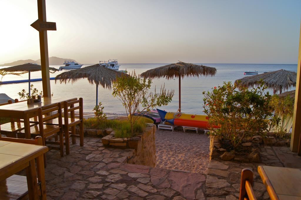 Umbi Sharks Bay Diving Village Resort Sharm el Sheikh