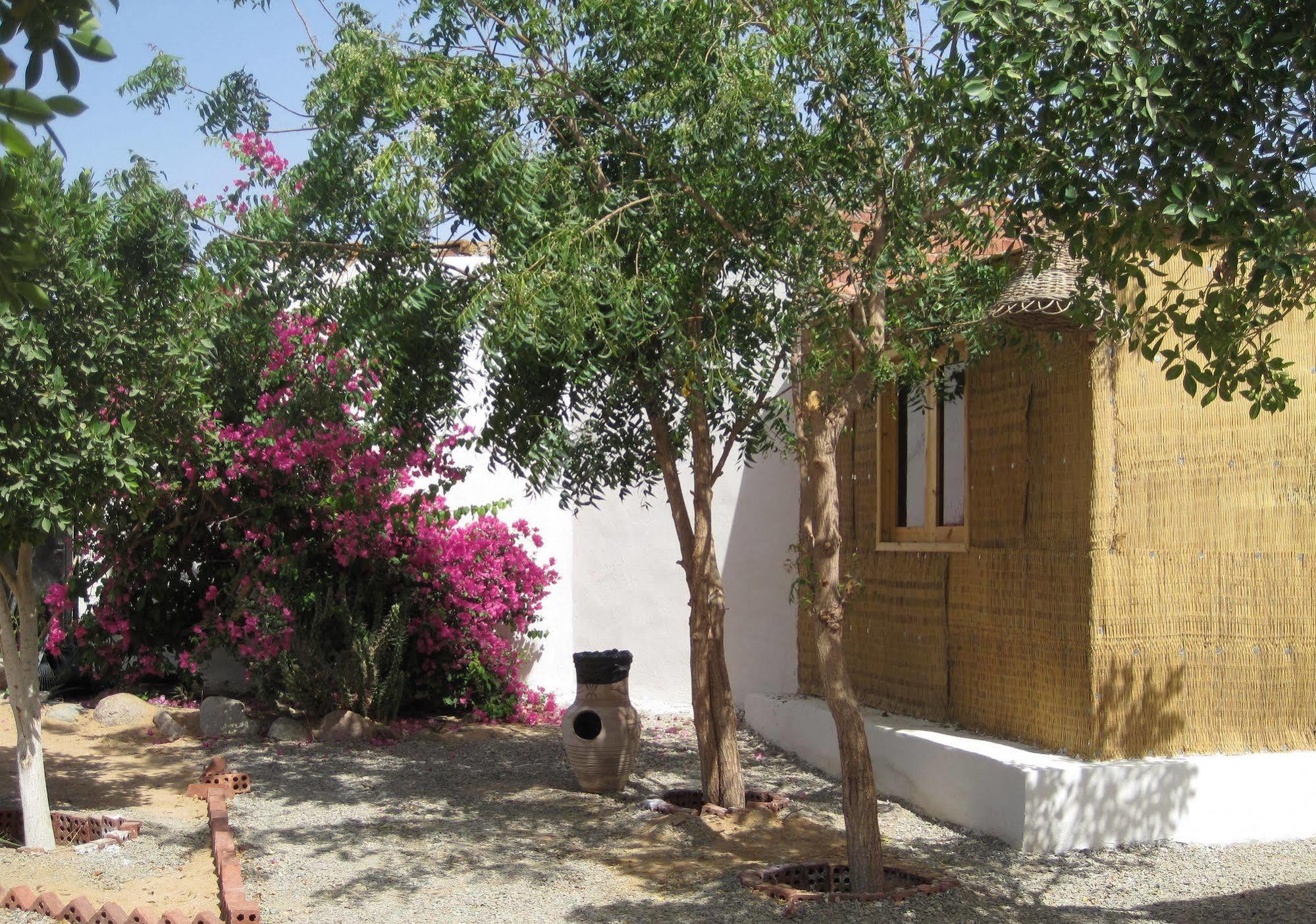 Resort Umbi Sharks Bay Diving Village 3*