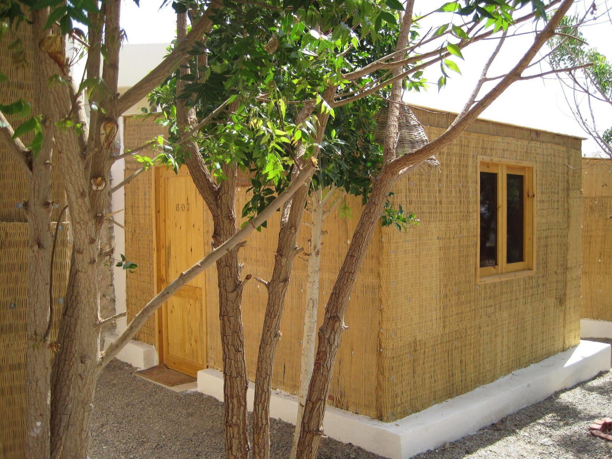 Resort Umbi Sharks Bay Diving Village Sharm el Sheikh
