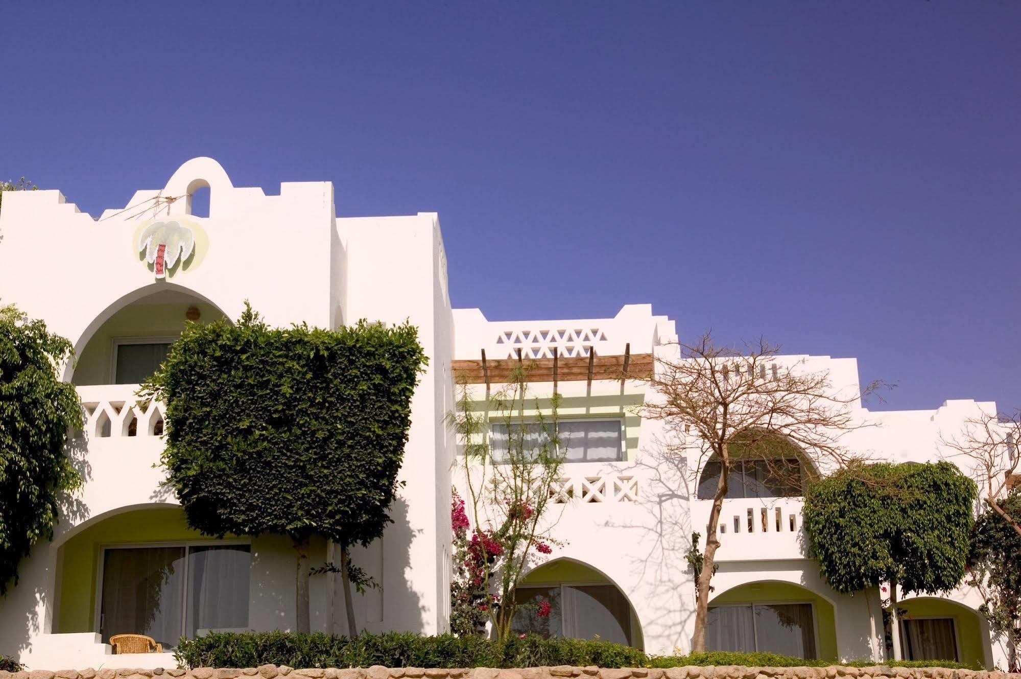 Domina Oasis & Resort Sharm el-Sheikh