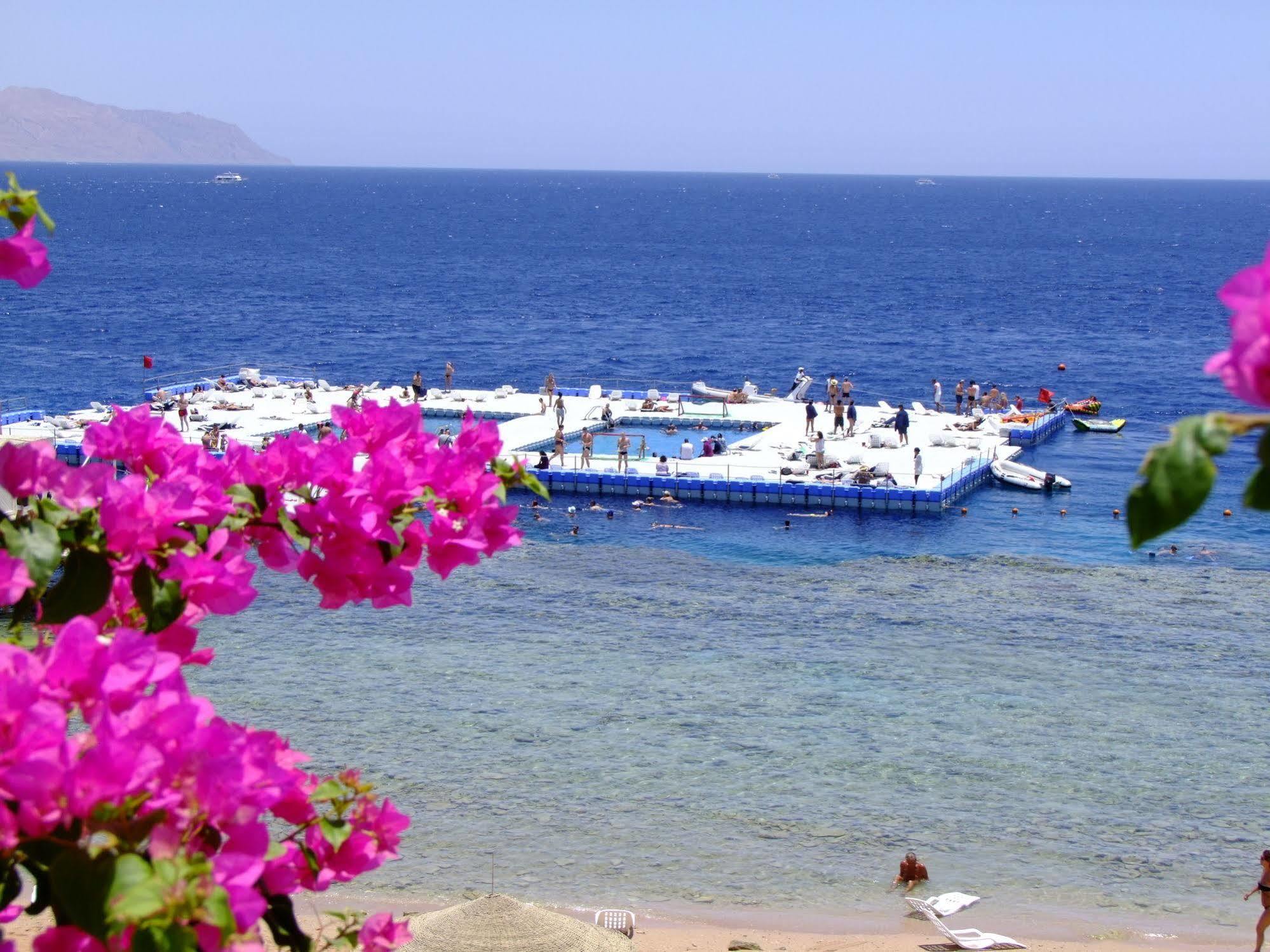 Domina Oasis & 5* Sharm el-Sheikh