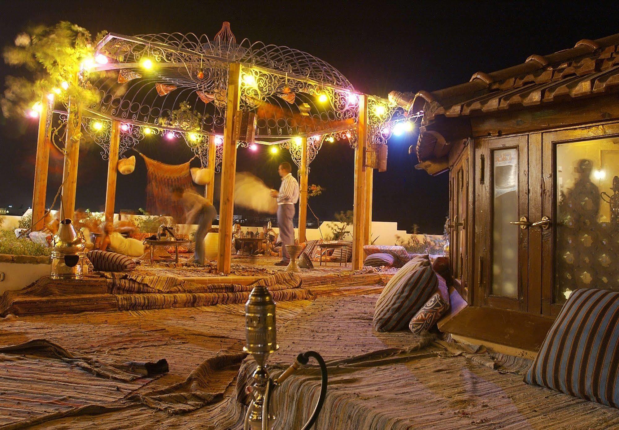 Domina Oasis & 5*