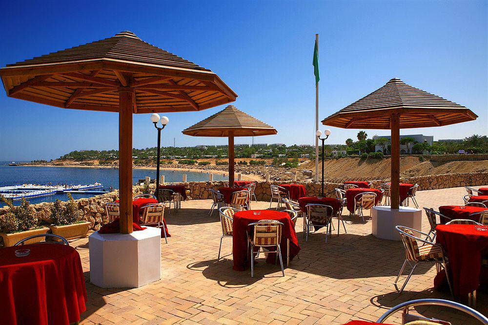 Domina Oasis & Resort 5*