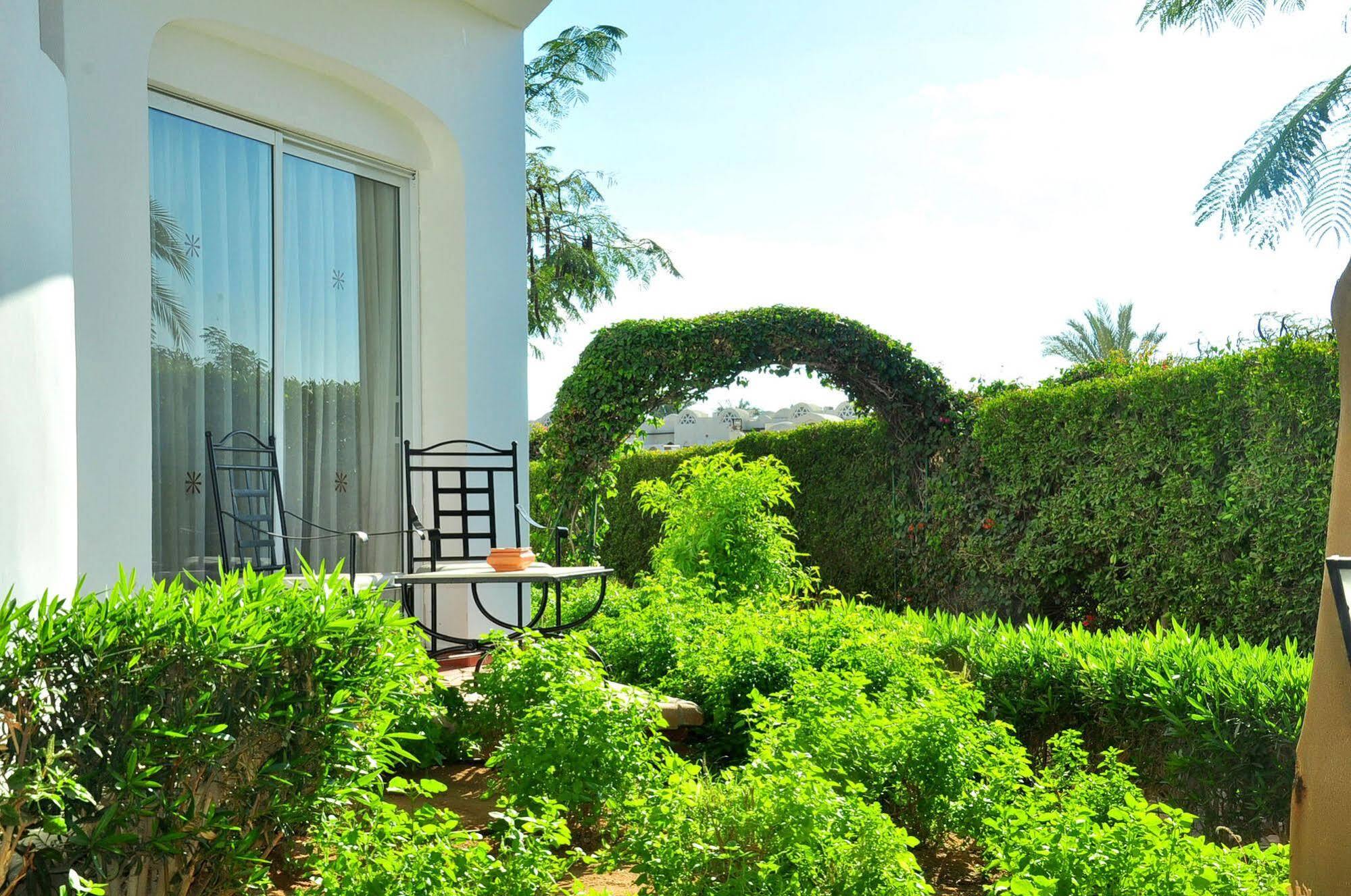 Jaz Fanara 5* Sharm el Sheikh